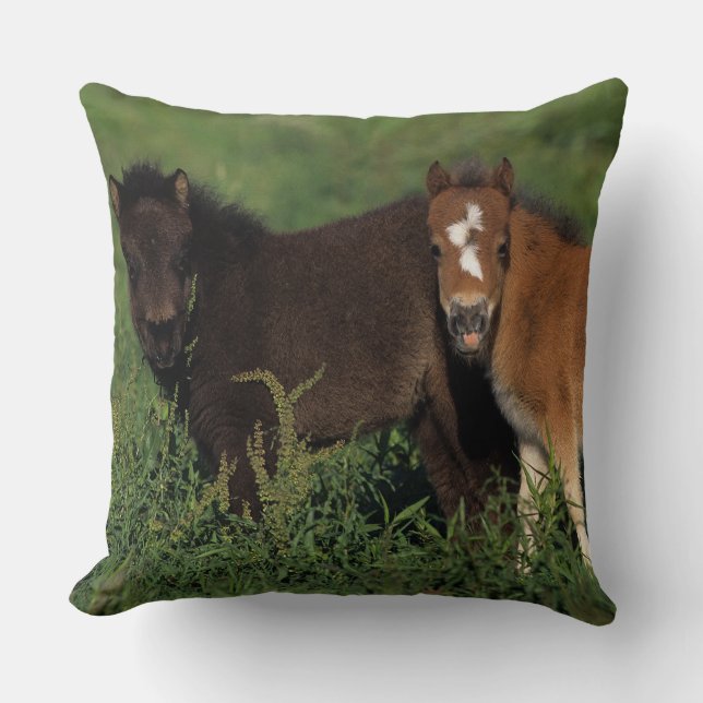 Miniature Foals in Grass Cushion (Front)