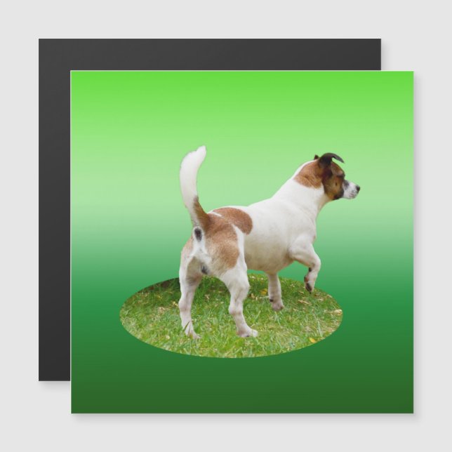 Miniature Fox Terrier Alert, Magnetic Card (Front/Back)