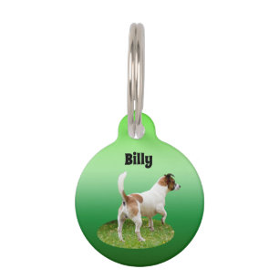 Miniature Fox Terrier Alert, Pet Tag