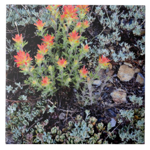 Miniature Garden at Gem Lake Ceramic Tile