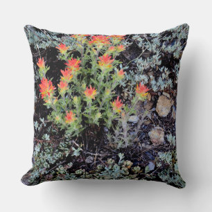 Miniature Garden at Gem Lake Cushion