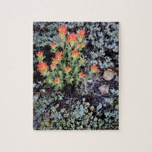 Miniature Garden at Gem Lake Jigsaw Puzzle