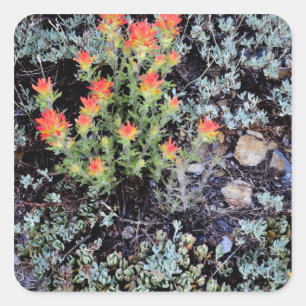 Miniature Garden at Gem Lake Square Sticker
