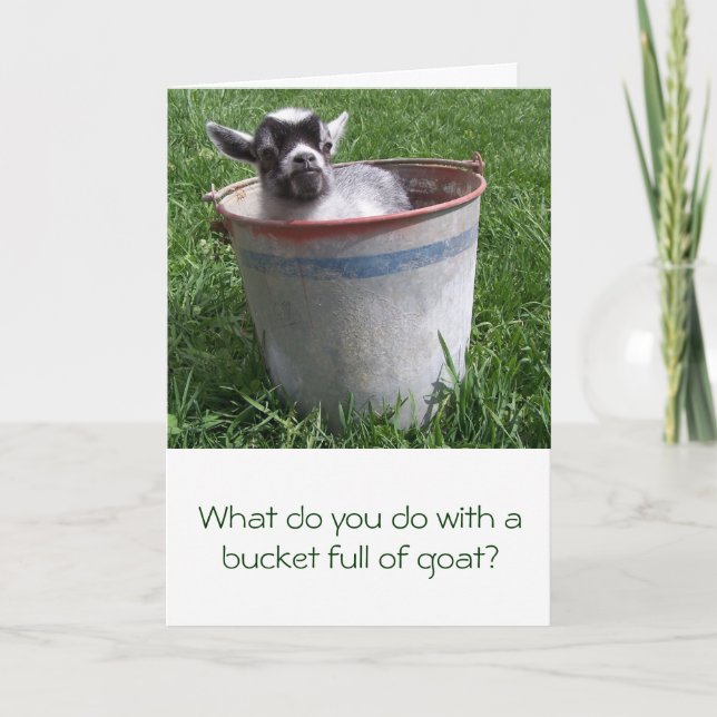 Miniature Goat in a Bucket Greeting Card (Front)