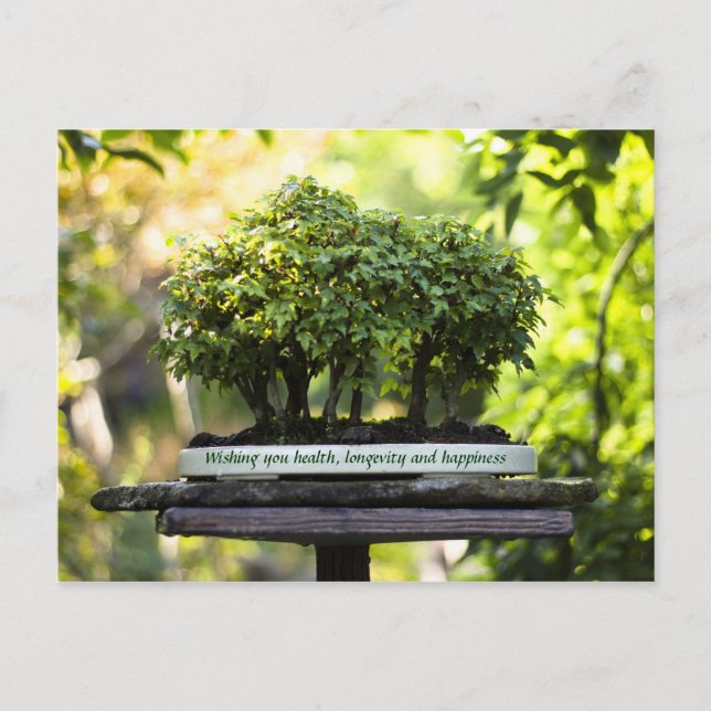 Miniature Green Forest Bonsai Pot Pedestal Leaves Postcard (Front)