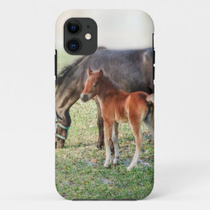 Miniature Horse Foal - Customised Colt & Filly iPhone 11 Case
