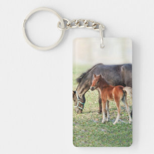 Miniature Horse Foal - Customised Colt & Filly Key Ring