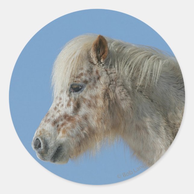 Miniature Horse Headshot Classic Round Sticker (Front)