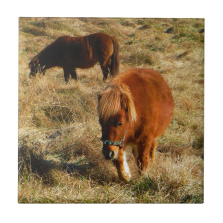 miniature Horse ponies Ceramic Tile