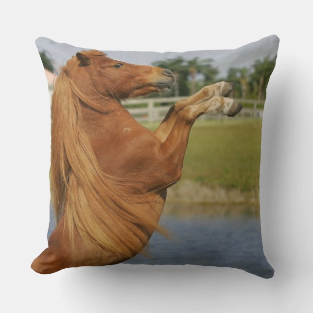 Miniature Horse Rearing Cushion (Front)