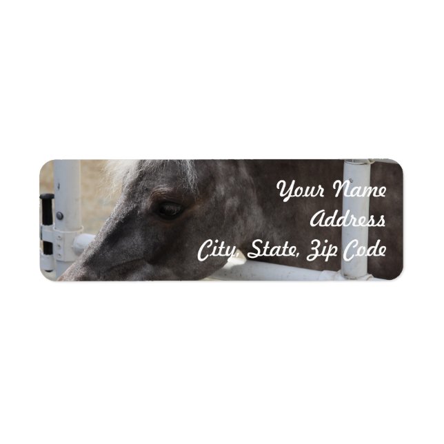 Miniature Horse Return Address Label (Front)