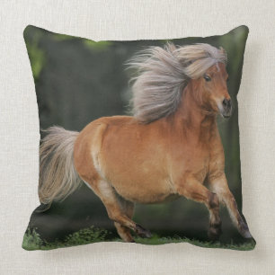 Miniature Horse Running Cushion