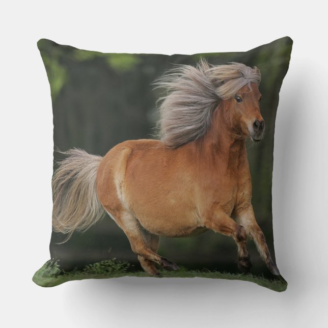 Miniature Horse Running Cushion (Front)