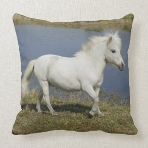 Miniature Horse Running Near Water Cushion