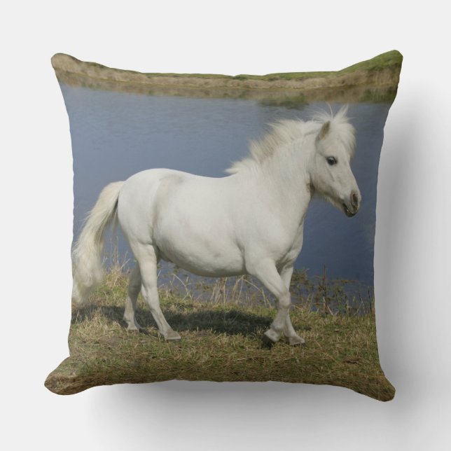 Miniature Horse Running Near Water Cushion (Front)