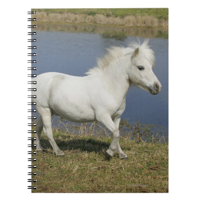 Miniature Horse Running Near Water Notebook (Front)