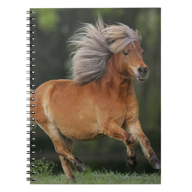Miniature Horse Running Notebook (Front)