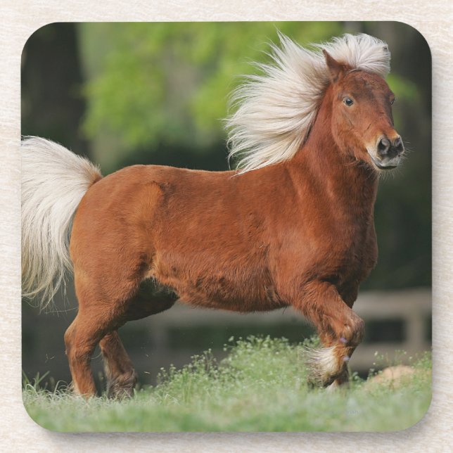 Miniature Horse Standing Coaster (Front)