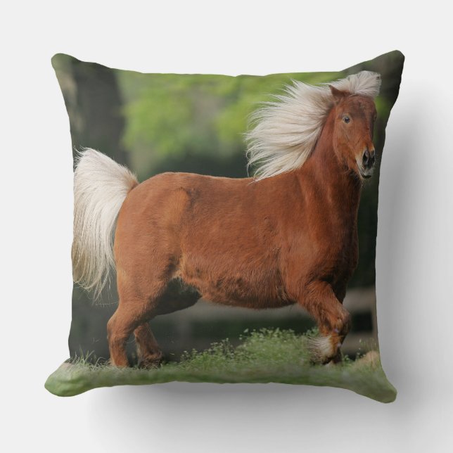Miniature Horse Standing Cushion (Front)