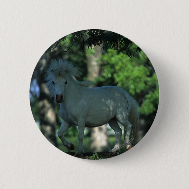Miniature Horse Standing in the Trees 6 Cm Round Badge (Front)