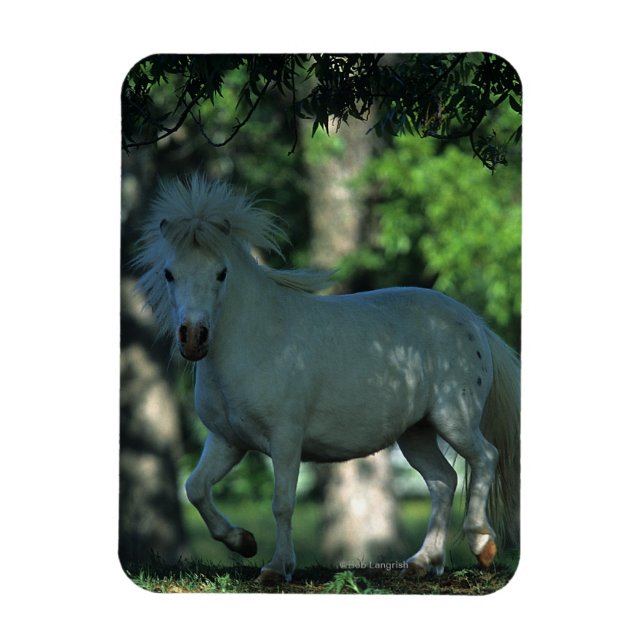 Miniature Horse Standing in the Trees Magnet (Vertical)