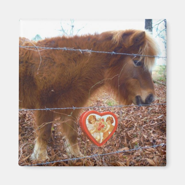 Miniature horse Valentine Red Heart Magnet (Front)