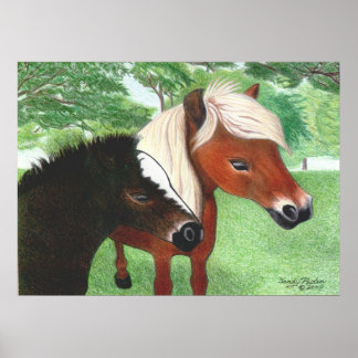 Miniature Horses Poster