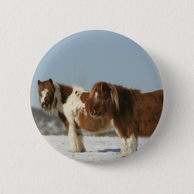 Miniature Horses Standing in the Snow 6 Cm Round Badge (Front)
