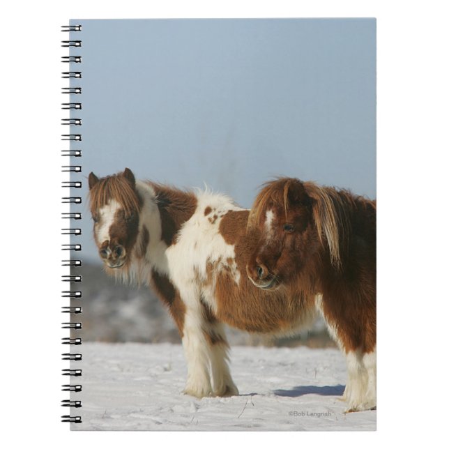 Miniature Horses Standing in the Snow Notebook (Front)