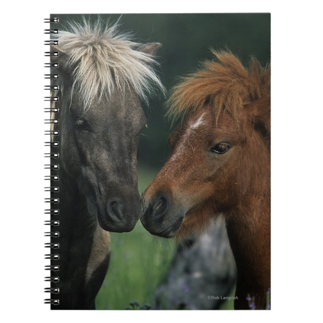 Miniature Horses Touching Notebook (Front)