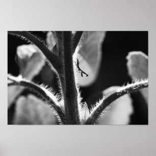 Miniature Mantis Poster