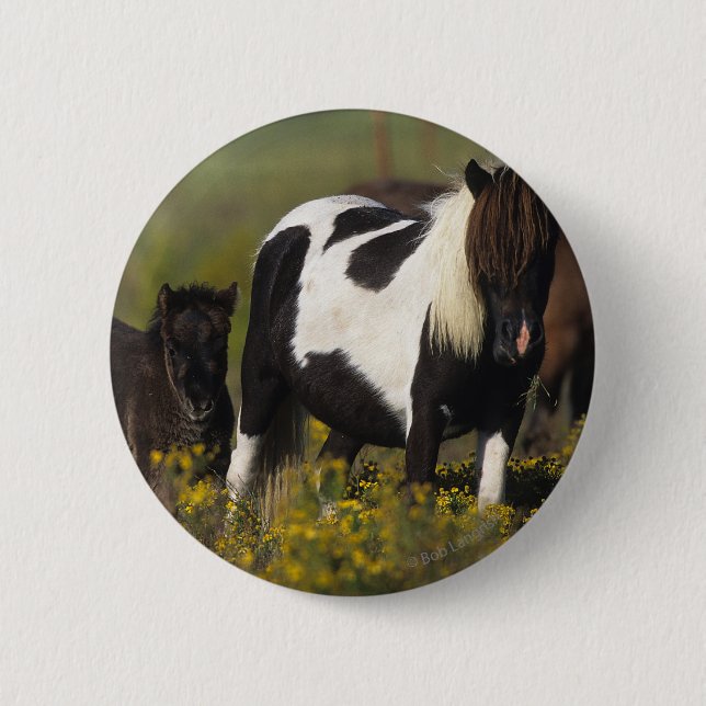 Miniature Mare & Foal in the Flowers 6 Cm Round Badge (Front)