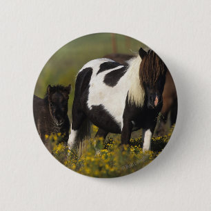 Miniature Mare & Foal in the Flowers 6 Cm Round Badge