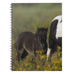 Miniature Mare & Foal in the Flowers Notebook