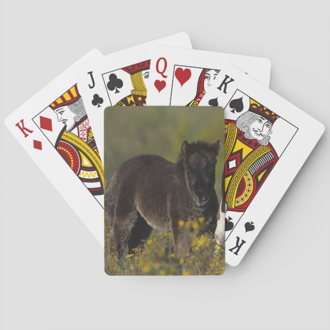 Miniature Mare & Foal in the Flowers Playing Cards (Back)