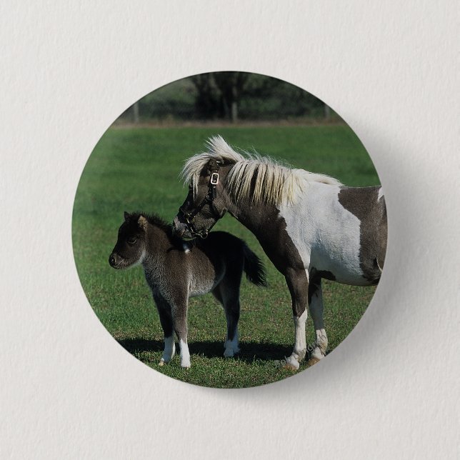 Miniature Mare & Foal Standing 6 Cm Round Badge (Front)