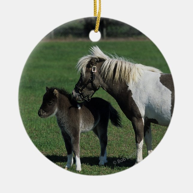 Miniature Mare & Foal Standing Ceramic Ornament (Front)
