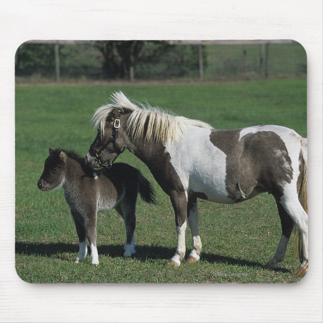 Miniature Mare & Foal Standing Mouse Pad (Front)