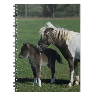 Miniature Mare & Foal Standing Notebook