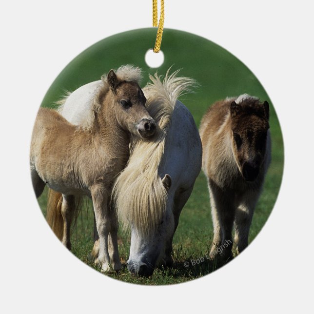Miniature Mare & Foals 1 Ceramic Tree Decoration (Front)