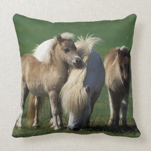 Miniature Mare & Foals 1 Cushion