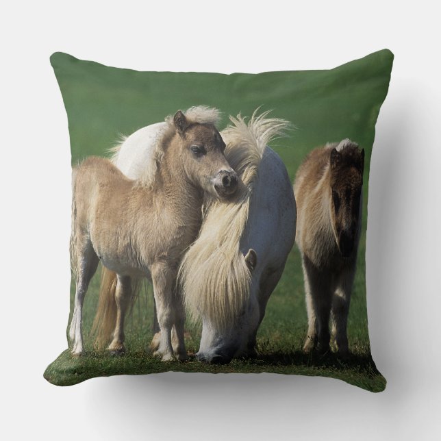 Miniature Mare & Foals 1 Cushion (Front)