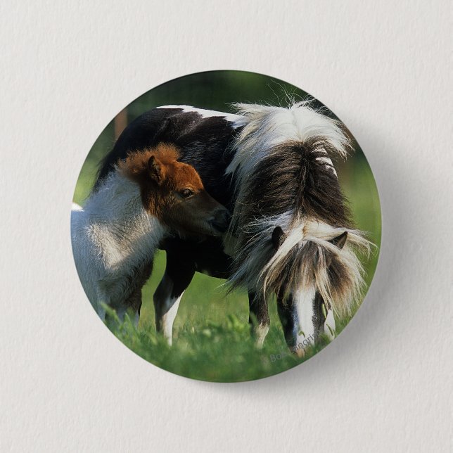 Miniature Mare & Foals 2 6 Cm Round Badge (Front)