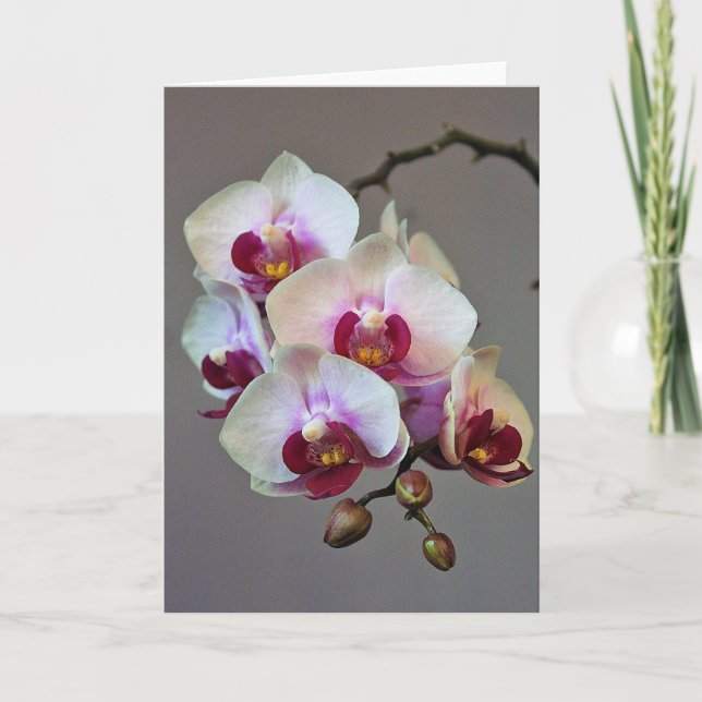 Miniature Orchid Card (Front)