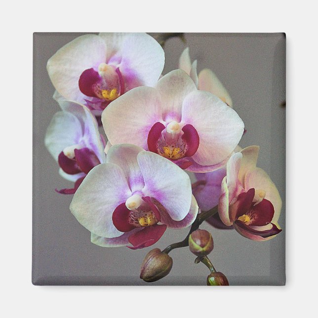 Miniature Orchid Magnet (Front)