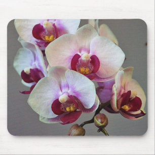 Miniature Orchid Mouse Pad