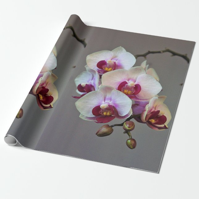 Miniature Orchid Wrapping Paper (Unrolled)