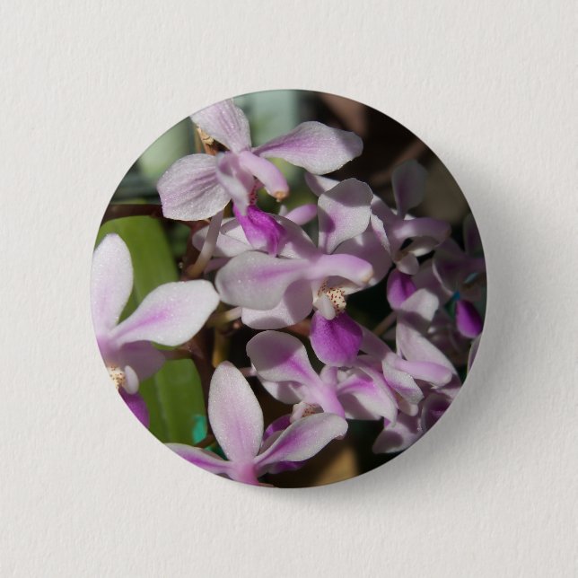 miniature orchids 6 cm round badge (Front)
