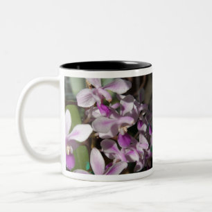 miniature orchids Two-Tone coffee mug