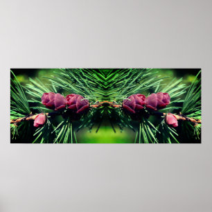 Miniature Pine Cones Mirror Abstract Poster